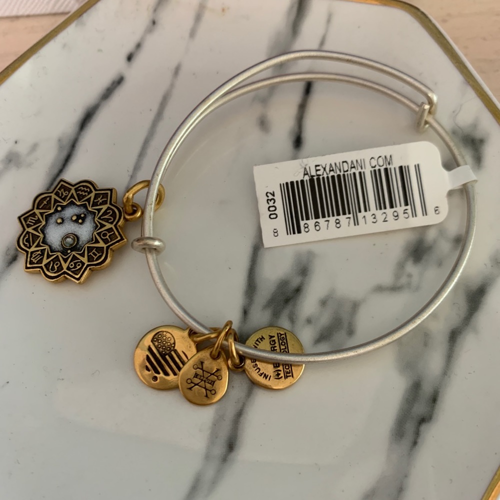 Alex & Ani Aries bracelet